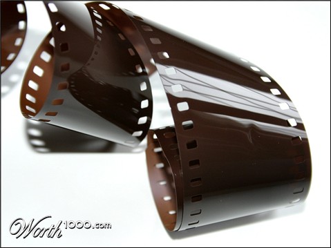 Photography by KarenC