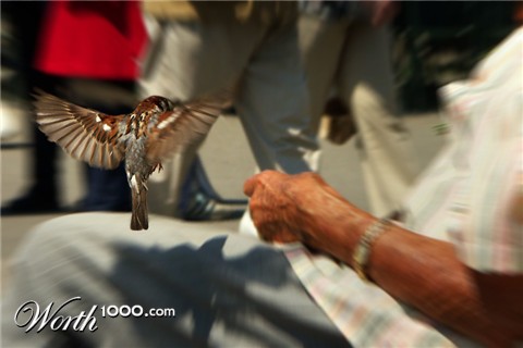 Photoshop Design by Schmuh