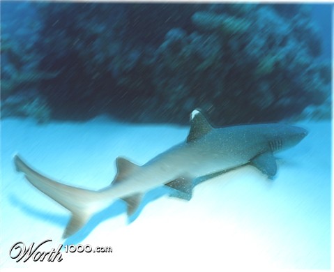 Photoshop Design by TheUncredibleSkulk