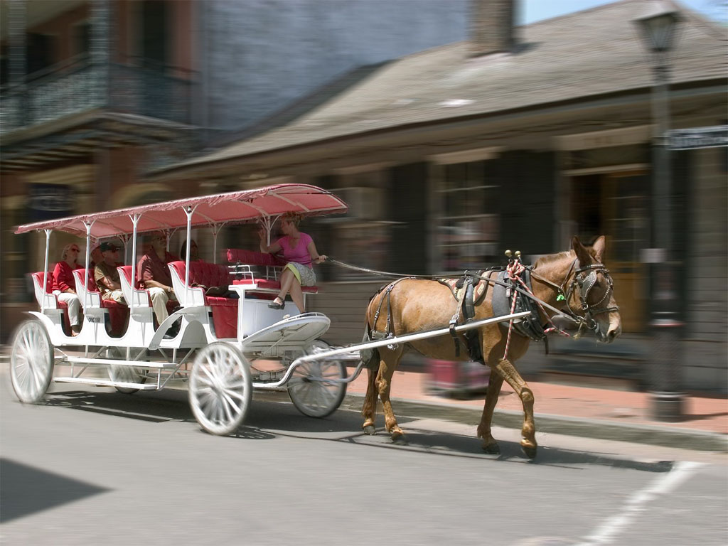 Diseño de Photoshop por Beetleb para DesignCrowd (Community Contests) | Diseño #9078513