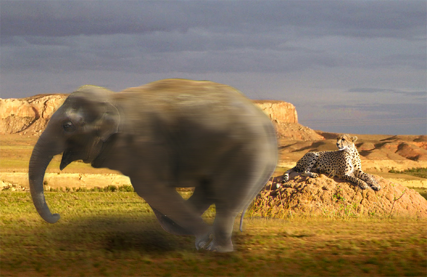 Photoshop Design by theone2Punch for DesignCrowd (Community Contests) | Design #9078539