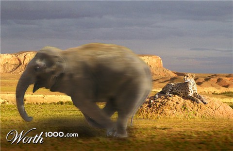 Photoshop Design by theone2Punch