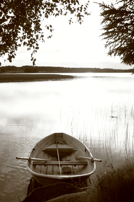 Photography by mojomojo for DesignCrowd (Community Contests) | Design #9066410
