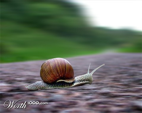 Photoshop Design by Konstantin1982