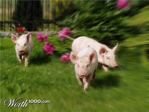 Photoshop Design by dragos