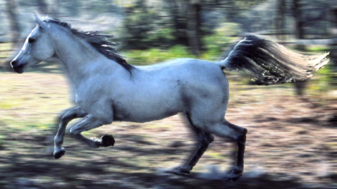 Photoshop Design by Larah McElroy for DesignCrowd (Community Contests) | Design #9078533