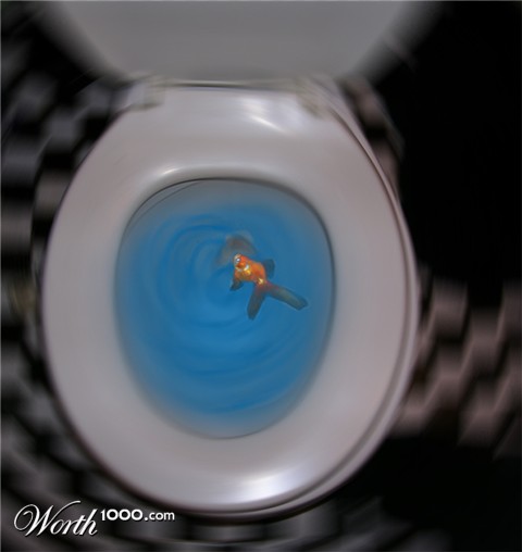 Photoshop Design by HamletsDog
