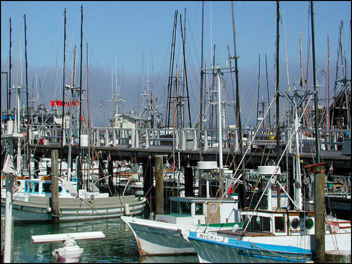 Fotografie von DiffDrummer für DesignCrowd (Community Contests) | Design #9066420