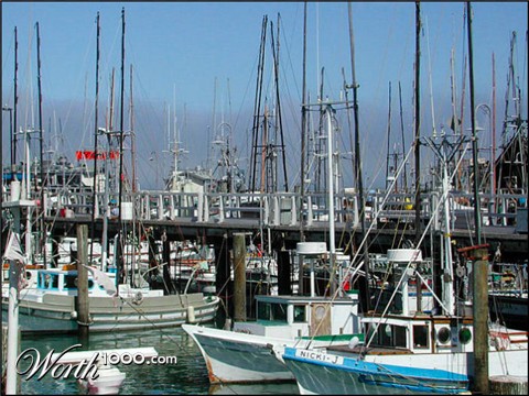 Photography by DiffDrummer