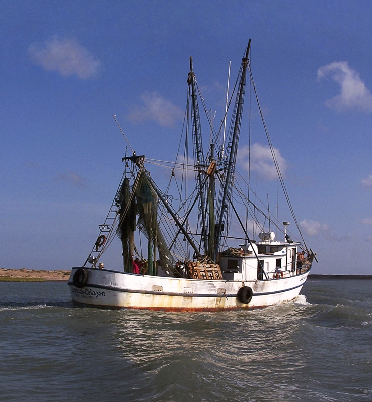 Photography by Fishcat for DesignCrowd (Community Contests) | Design #9066472