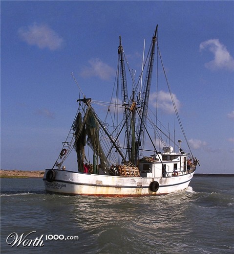 Photography by Fishcat