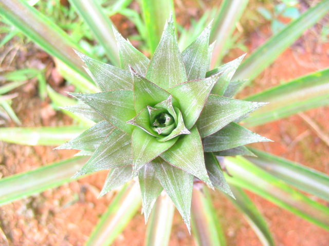 Photography by marko055 for DesignCrowd (Community Contests) | Design #9075517