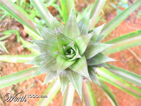 Photography by marko055