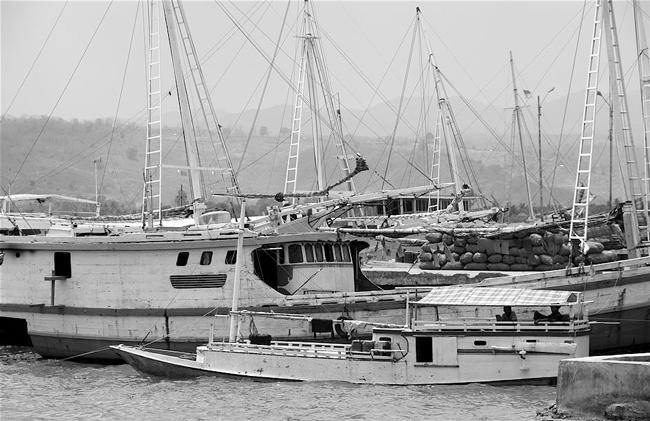 Fotografie von vanilagerila98 für DesignCrowd (Community Contests) | Design #9066493
