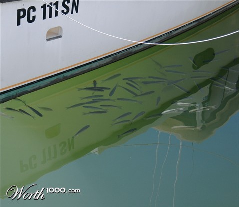 Photography by ozplasmic