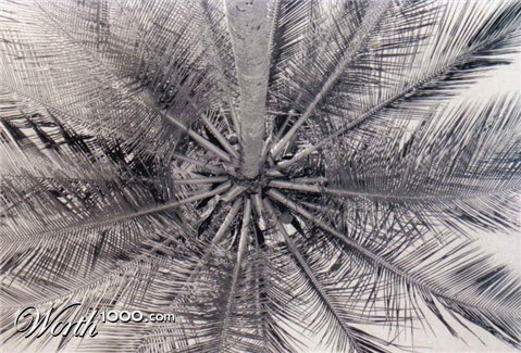 Photography by crystalgayle