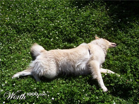 Photography by SuperWebon