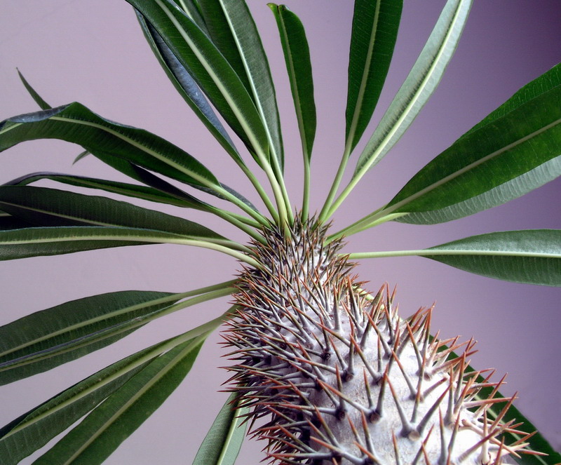 Photography by mzmzmzmz for DesignCrowd (Community Contests) | Design #9075606