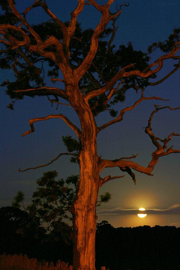 Photography by SigloV for DesignCrowd (Community Contests) | Design #9078563