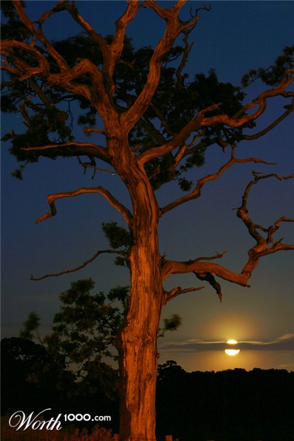 Photography by SigloV