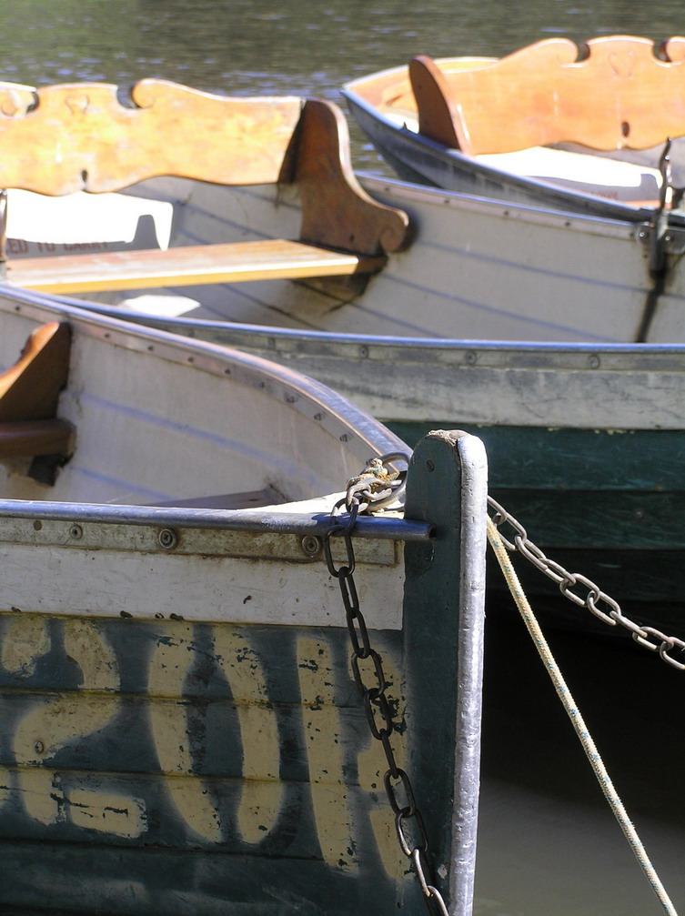 Photography by virtualstrauss for DesignCrowd (Community Contests) | Design #9066526