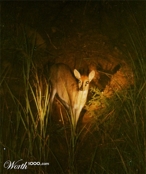 Photography by kimbomac