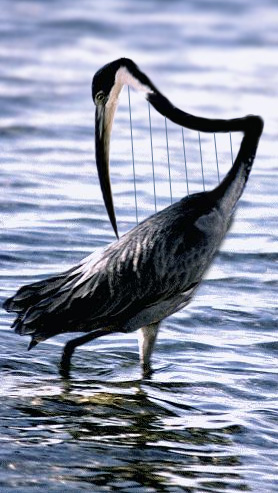 Photoshop Design by m0nkfish for DesignCrowd (Community Contests) | Design #9075370