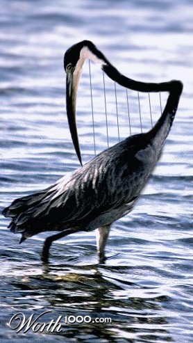 Photoshop Design by m0nkfish