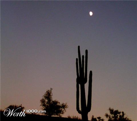 Photography by jasoned