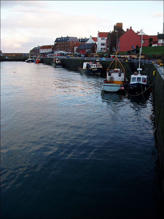 Photography by Angelicca for DesignCrowd (Community Contests) | Design #9066543