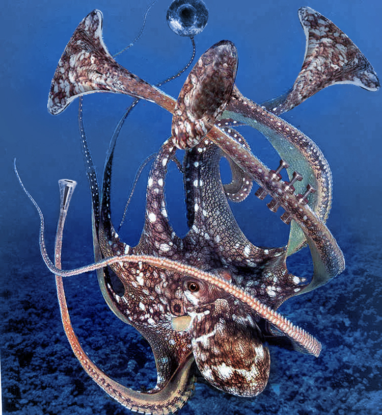 Photoshop Design by irishbryan for DesignCrowd (Community Contests) | Design #9075392