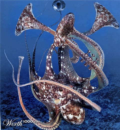 Photoshop Design by irishbryan