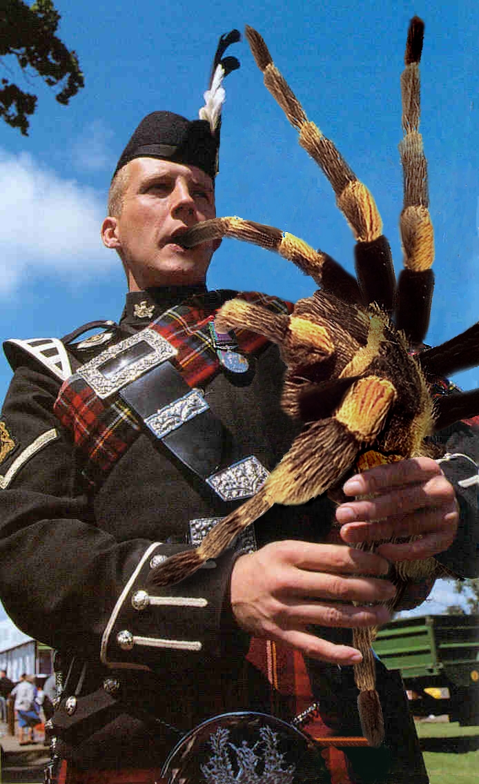 Photoshop Design by Saleko for DesignCrowd (Community Contests) | Design #9075421