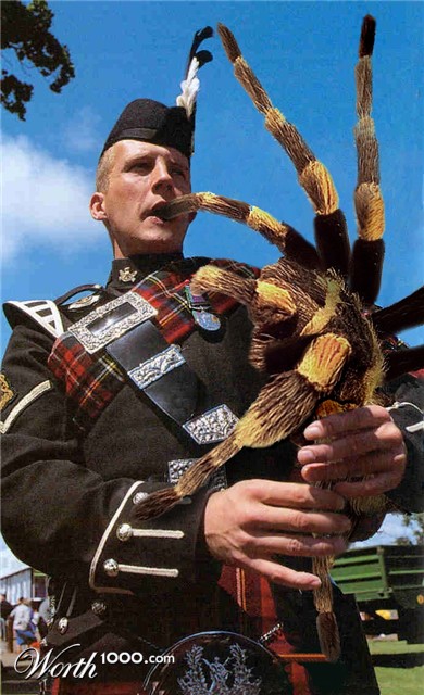 Photoshop Design by Saleko