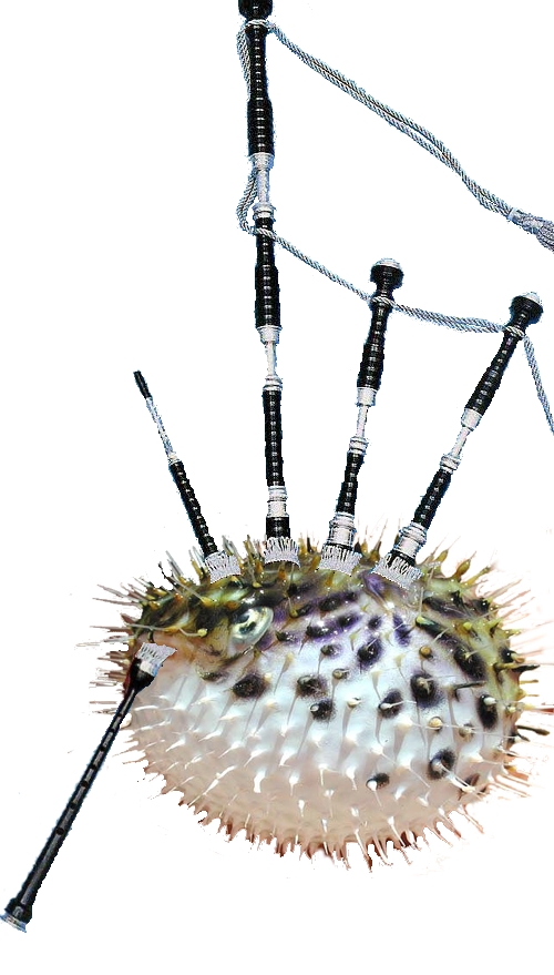 Diseño de Photoshop por Louweasel para DesignCrowd (Community Contests) | Diseño #9075410