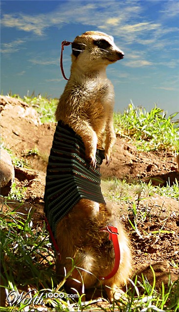 Photoshop Design by Spin99