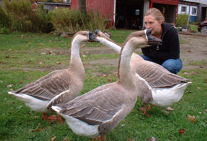 Photography by angel2kiss for DesignCrowd (Community Contests) | Design #9077807