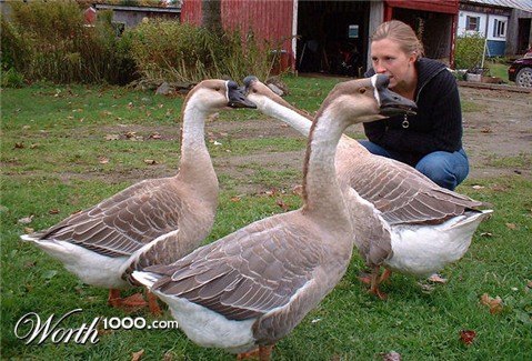 Photography by angel2kiss