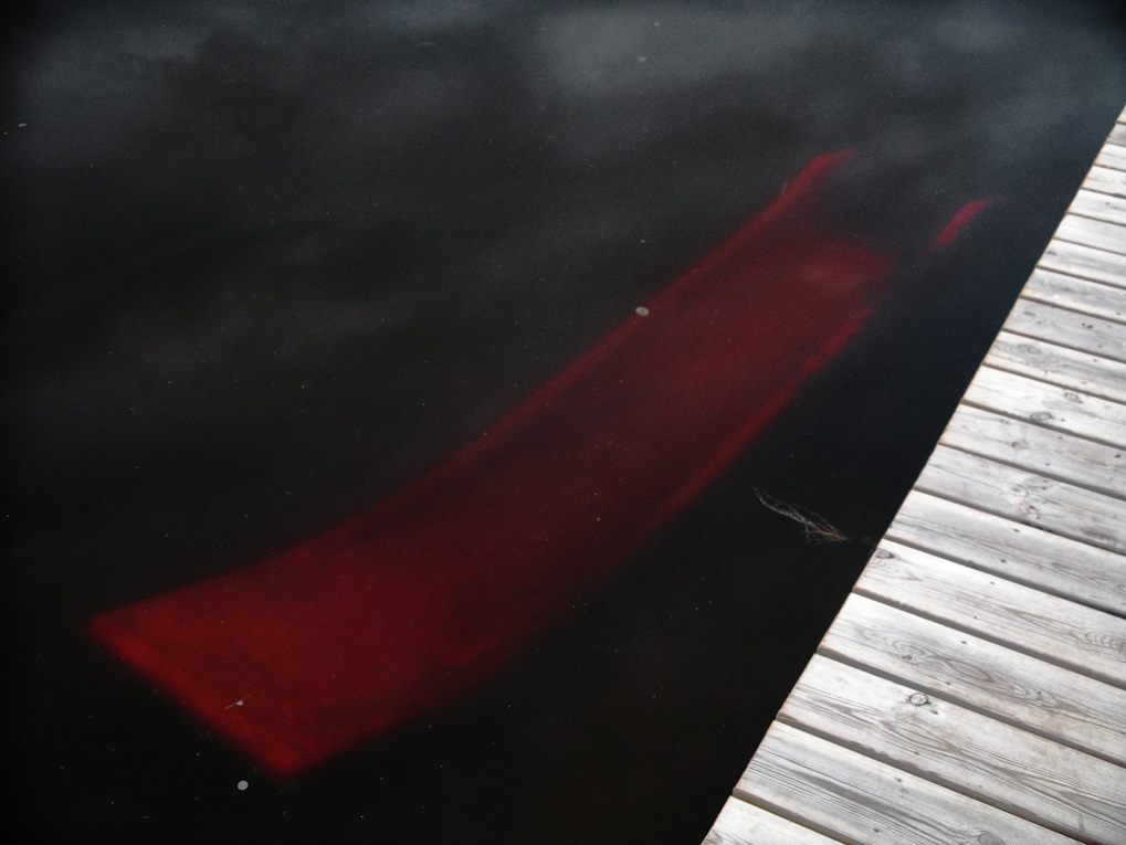 Photography by meerkat2 for DesignCrowd (Community Contests) | Design #9082236