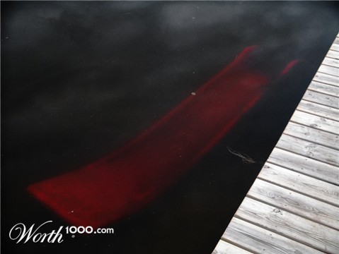 Photography by meerkat2