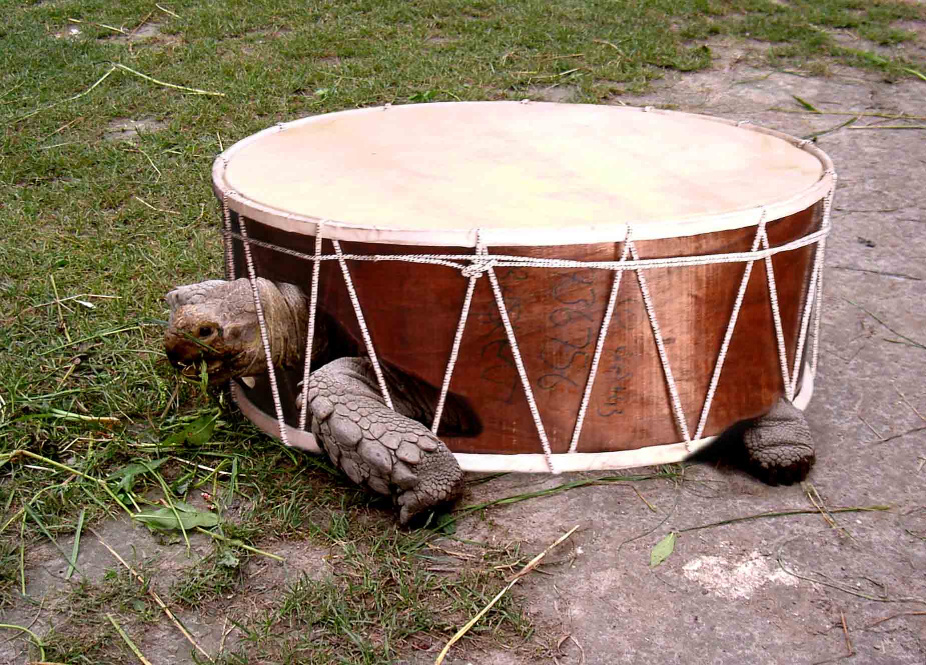 Photoshop Design by jamescroberts for DesignCrowd (Community Contests) | Design #9075562