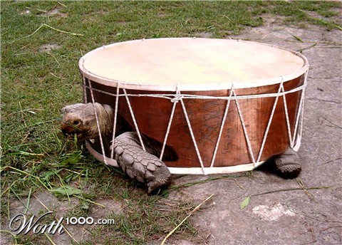 Photoshop Design by jamescroberts