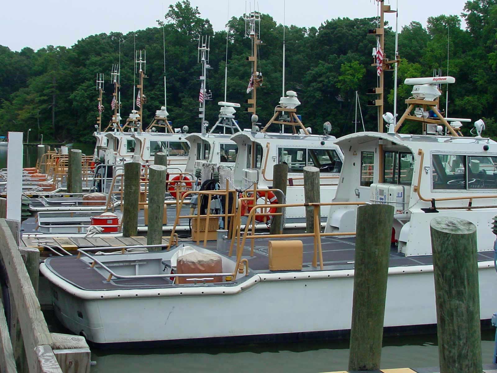 Photographie par jodyberry pour DesignCrowd (Community Contests) | Design #9066592