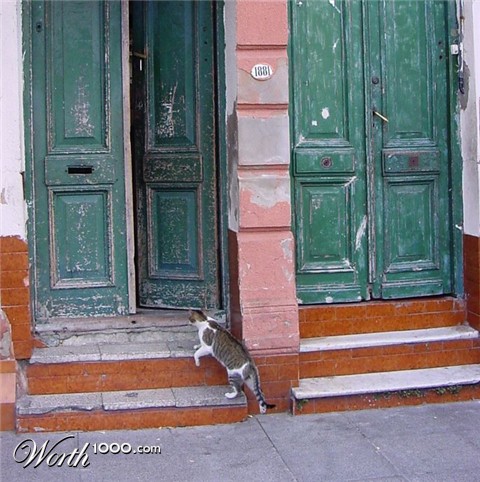 Photography by ginscambia