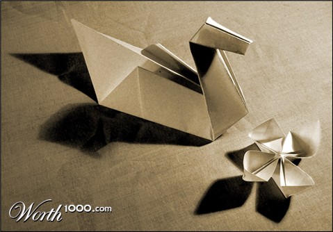 Photography by AceClown