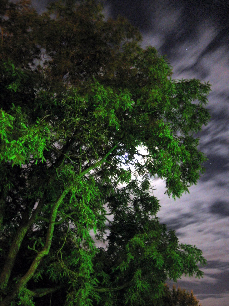 Photography by Tygurtar for DesignCrowd (Community Contests) | Design #9078632