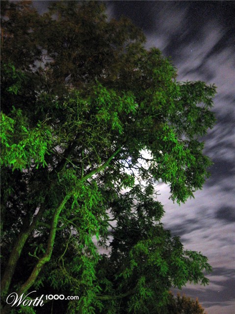 Photography by Tygurtar