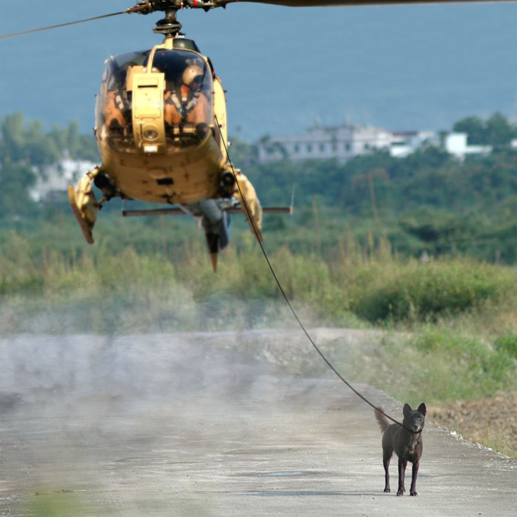 Design Photoshop par godzillatemple pour DesignCrowd (Community Contests) | Design #9077431