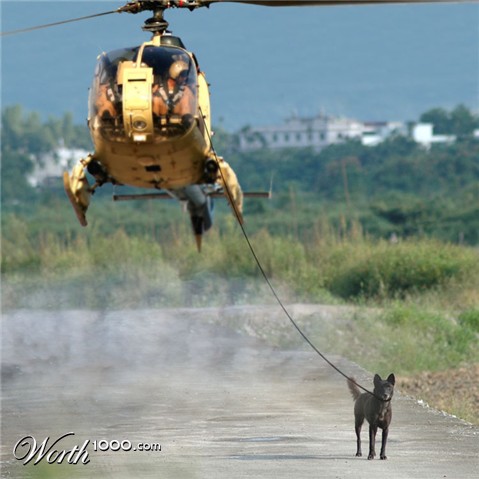 Photoshop Design by godzillatemple