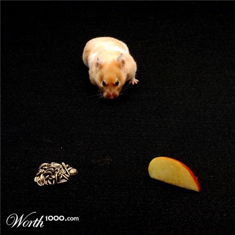 Photography by SigloV